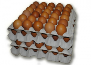 L-es mértetű, ózonnal fertőtlenített tálcás tojás
