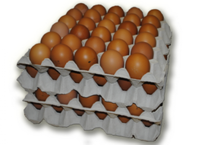 M-es mértetű, ózonnal fertőtlenített tálcás tojás